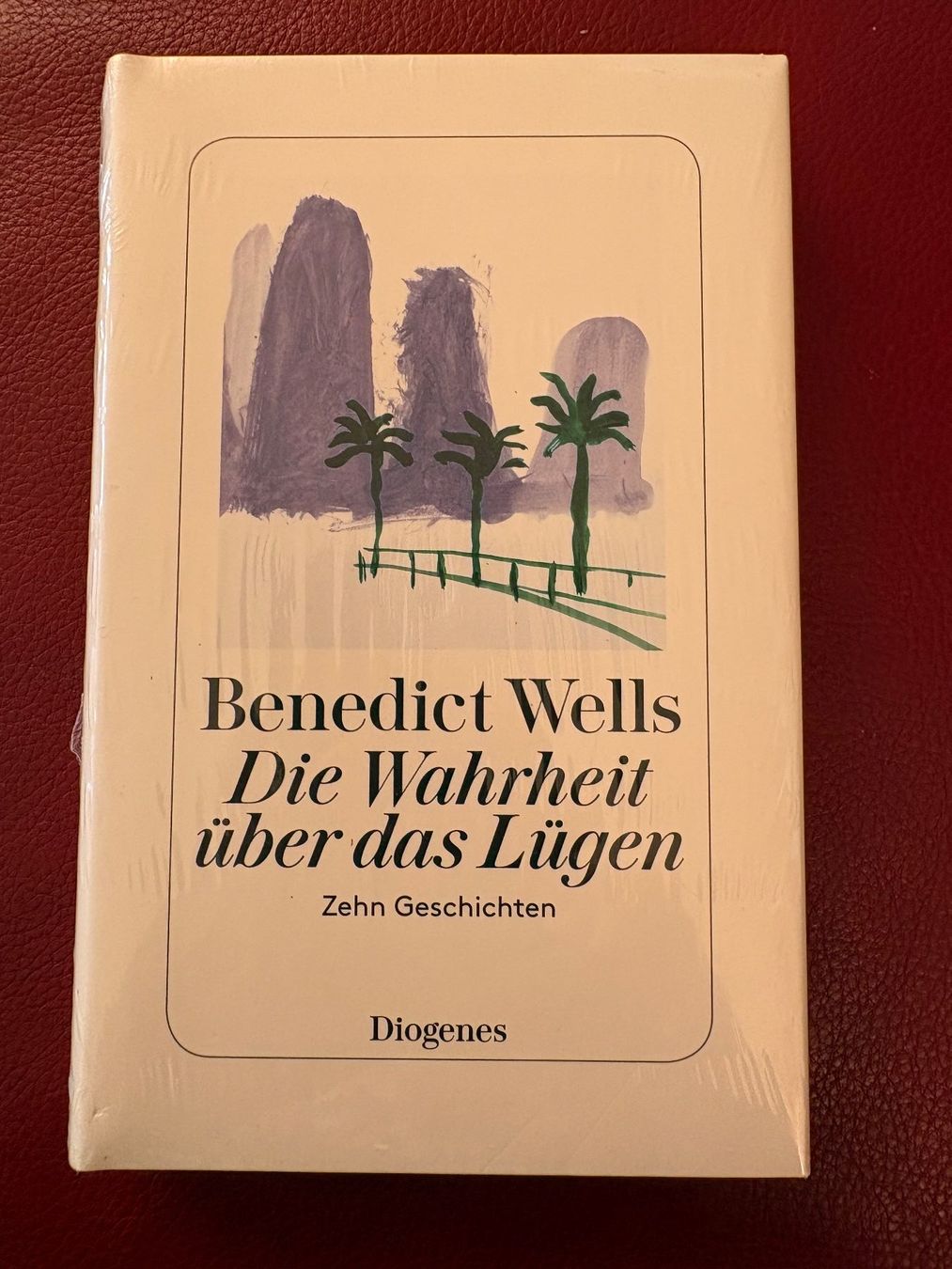 Libri: 5x Benedict Wells – Usato da Oberweningen venduto da Gerini 4