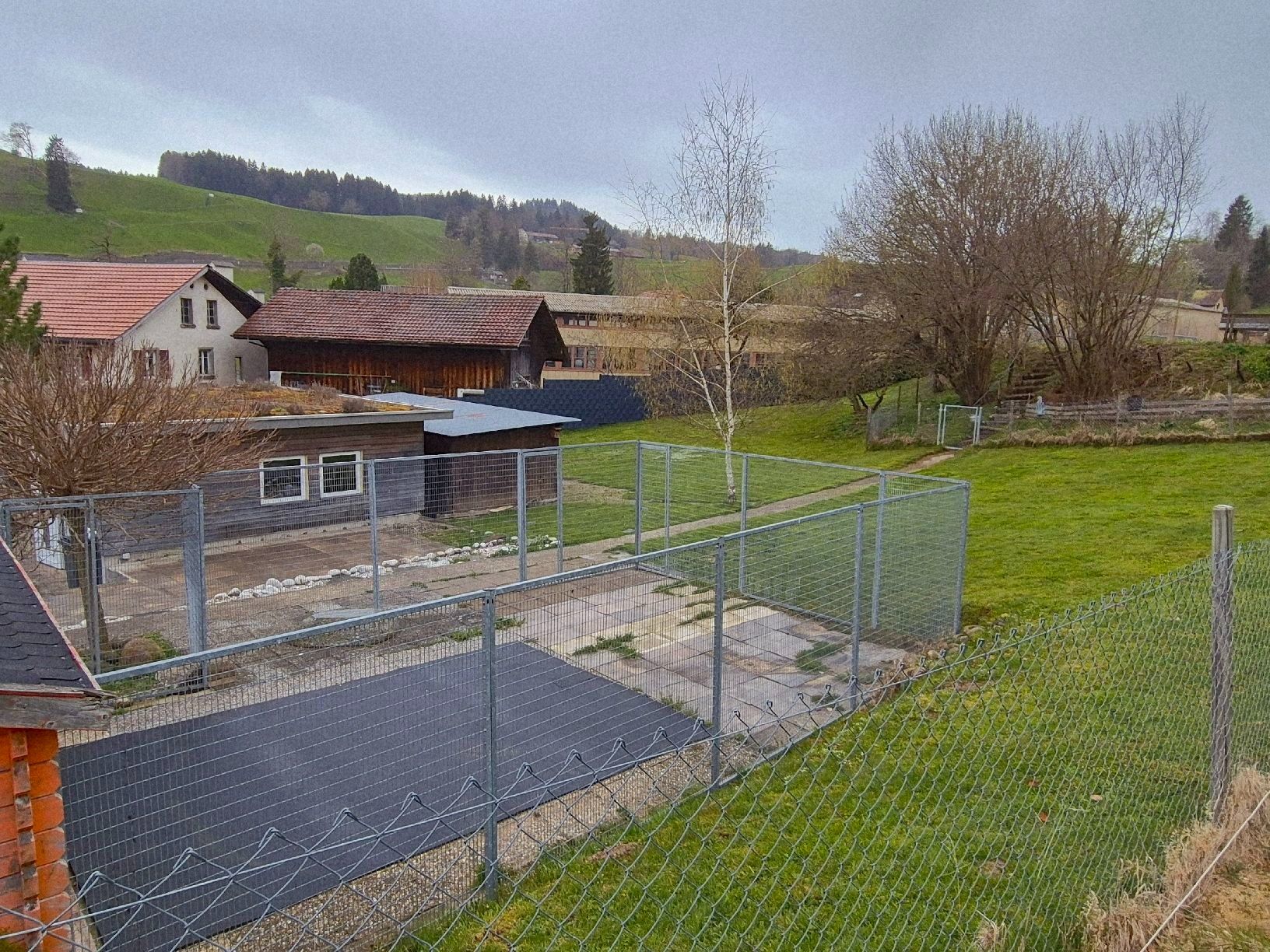 Gabbie, trasporto & Sicurezza: Hundezwinger Hühnergehege – Usato da Stein AR venduto da Bienli4 5