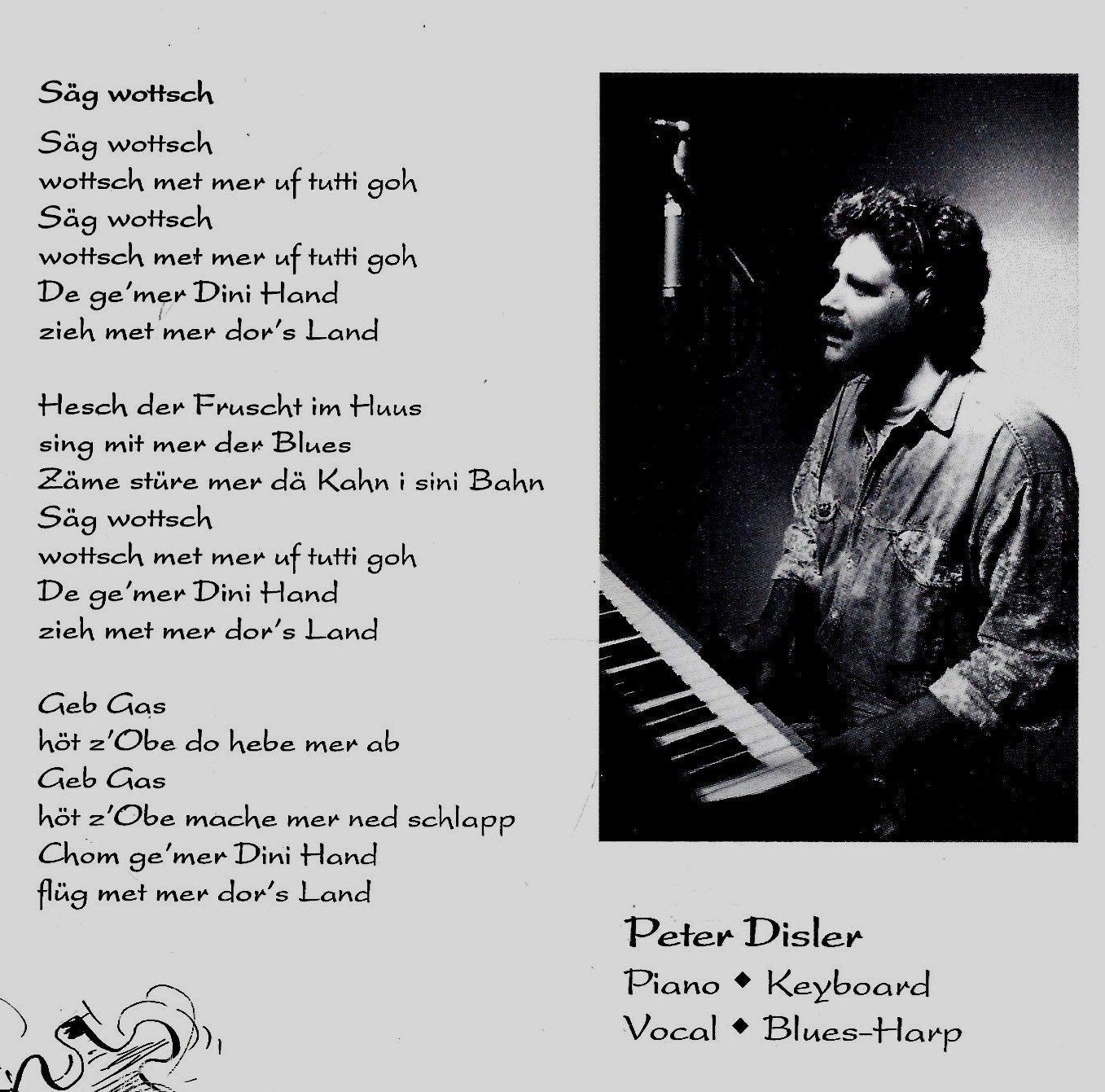 CD: Peter Disler Selection PUZZLE Blues Boogie Jazz Schweiz CD – Usato da Kandergrund venduto da Sososo 2
