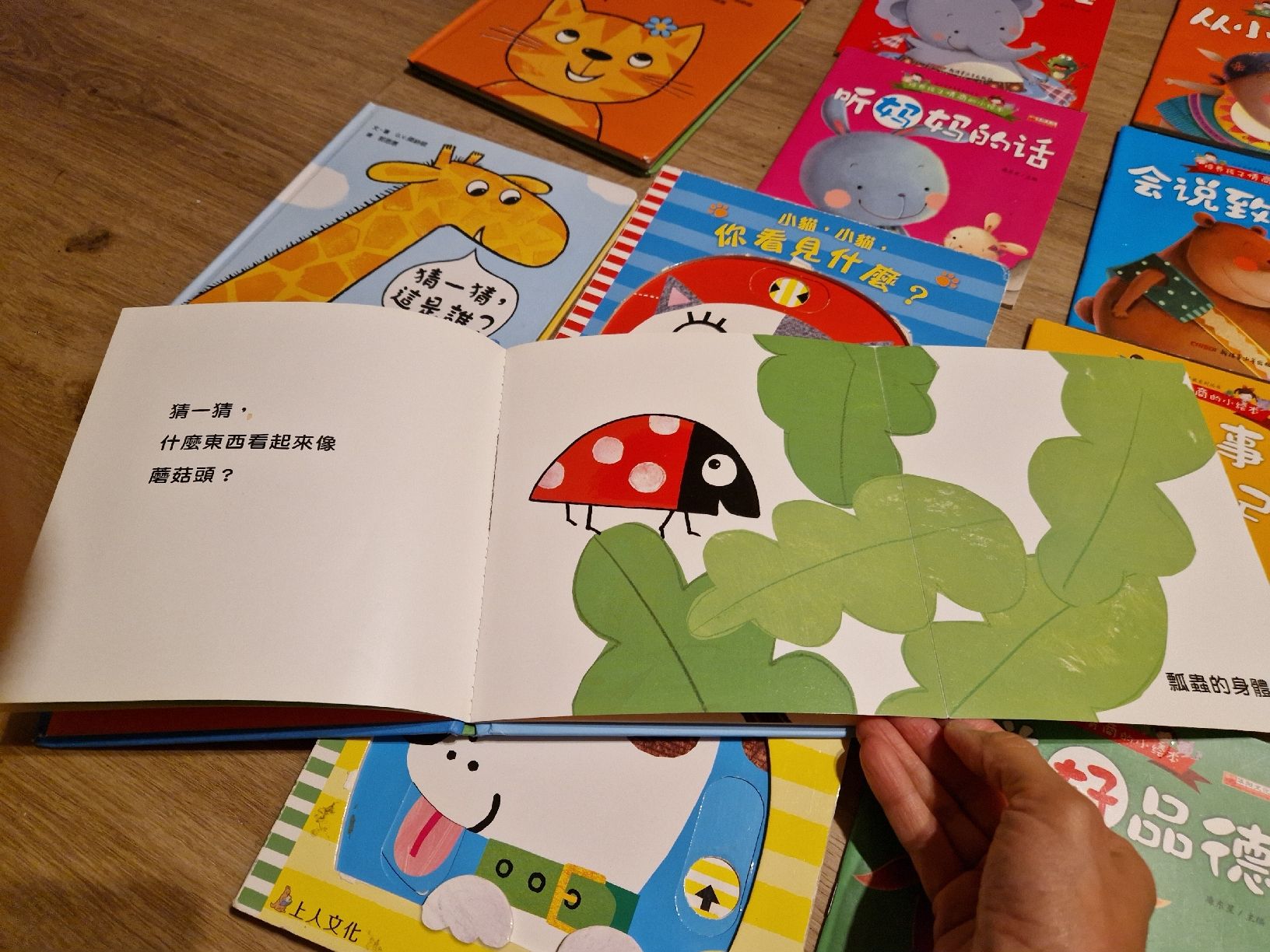 Libri: Chinesische Kinder Bücher 36 Stücke  – Usato da Wimmis venduto da traubenq 2