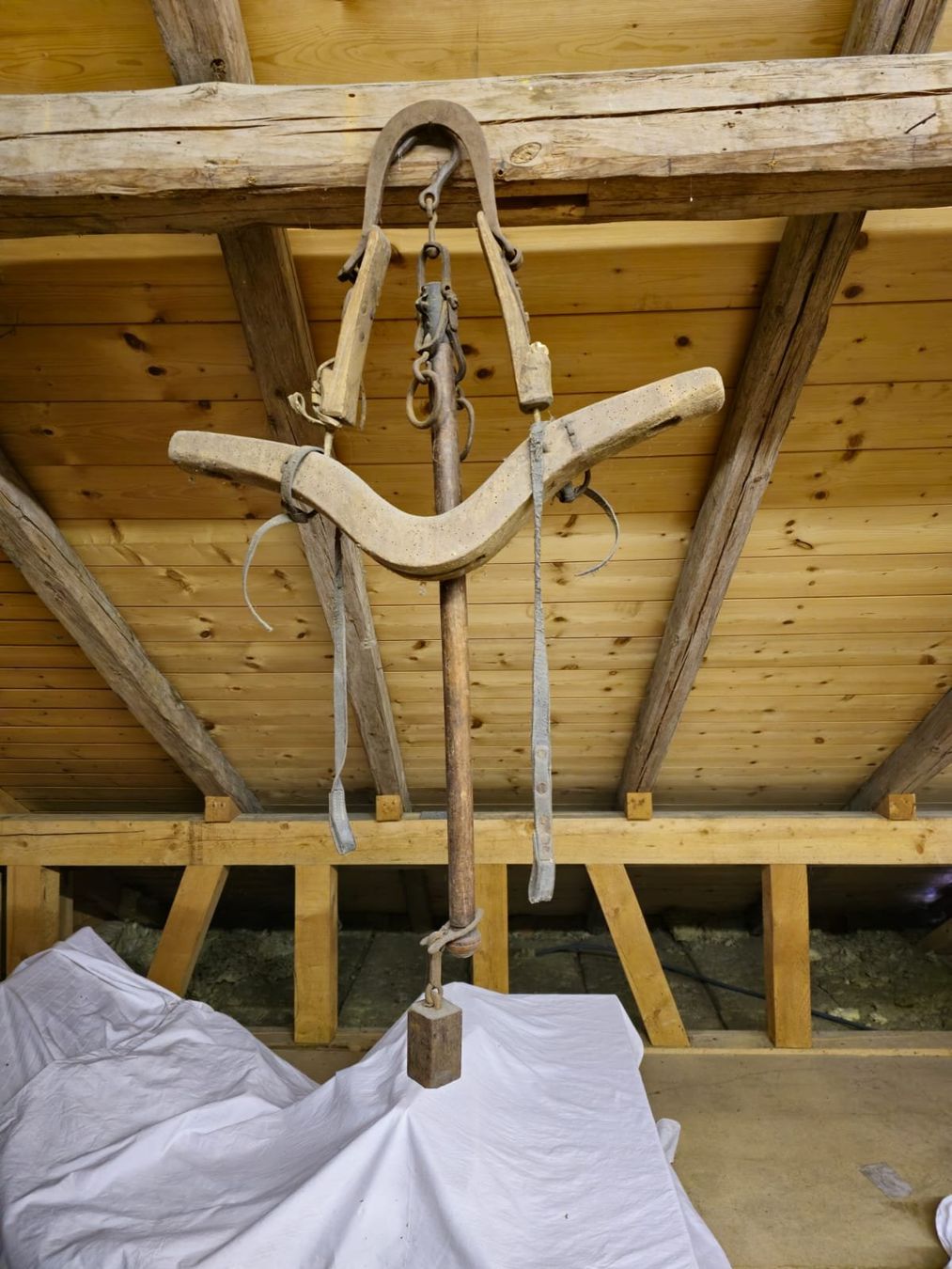Brides, licols: Ochsengeschirr – D'occasion à Mettlen par Janavana