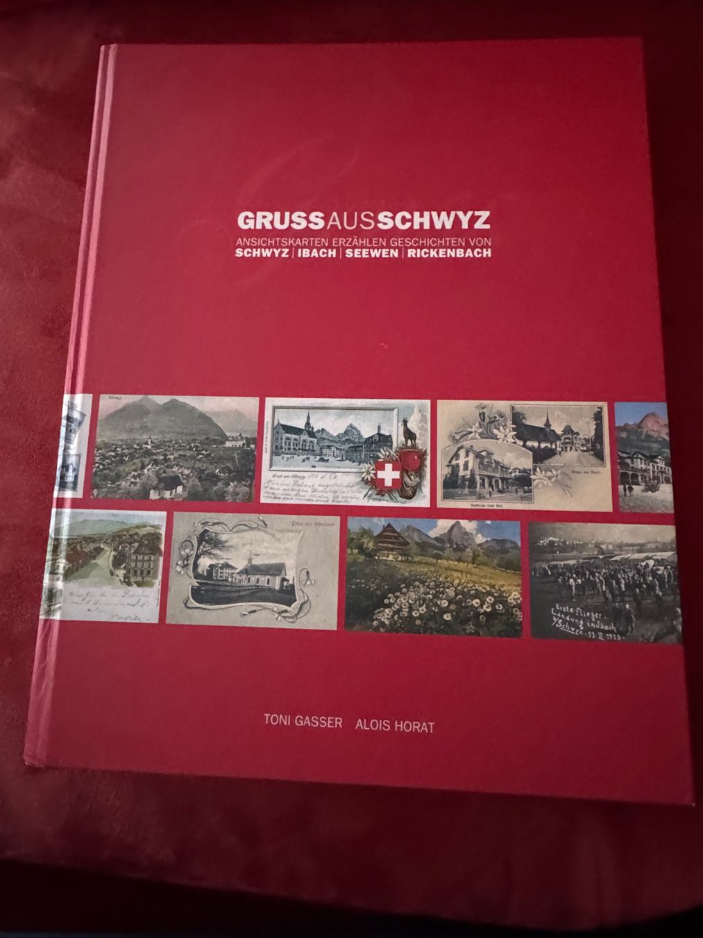 Libri: Gruss aus Schwyz, Ansichtskarten, Geschichtsbuch – Usato da Seewen SZ venduto da web_