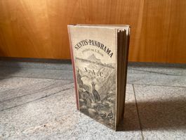 Albert Heim: Säntis-Panorama 1871 – vollständig, Top Zustand