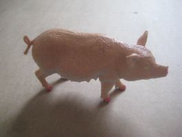 SCHWEIN