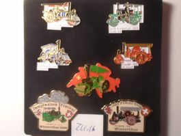 7 ver Dampfwalzen Winterthur und....Pins (ZU16)