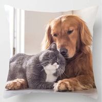 Kissenbezug Katze & Hund 45x45cm