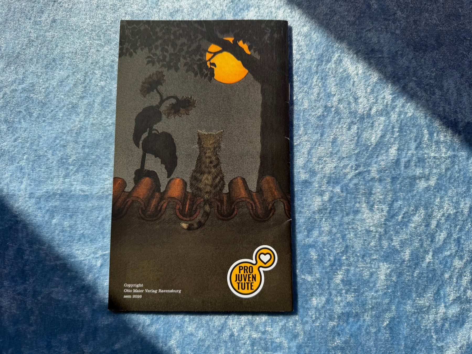 Libri: Ich bin die kleine Katze - Kinderbuch von Helmut Spanner – Nuovo e nell'imballaggio originale da Brunnenthal venduto da Eco07 1