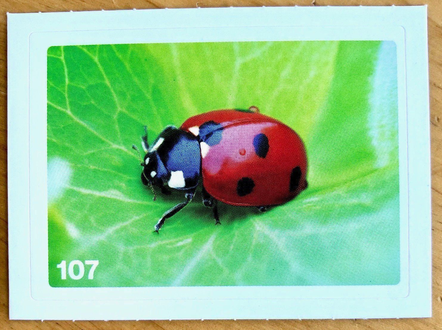 Migros Carte collezionabili: Migros Nature Detectives - Bild Nr. 107 – Nuovo (secondo la descrizione) da Oberrieden venduto da Zimmerberg10