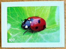 Migros Nature Detectives - Bild Nr. 107