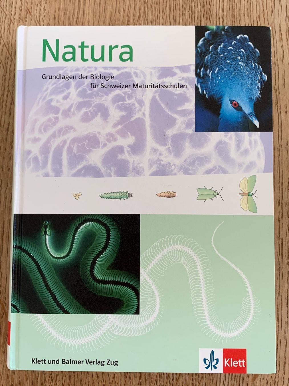 Libri: Schulbuch: Natura – Usato da Weiningen ZH venduto da Samsonite7