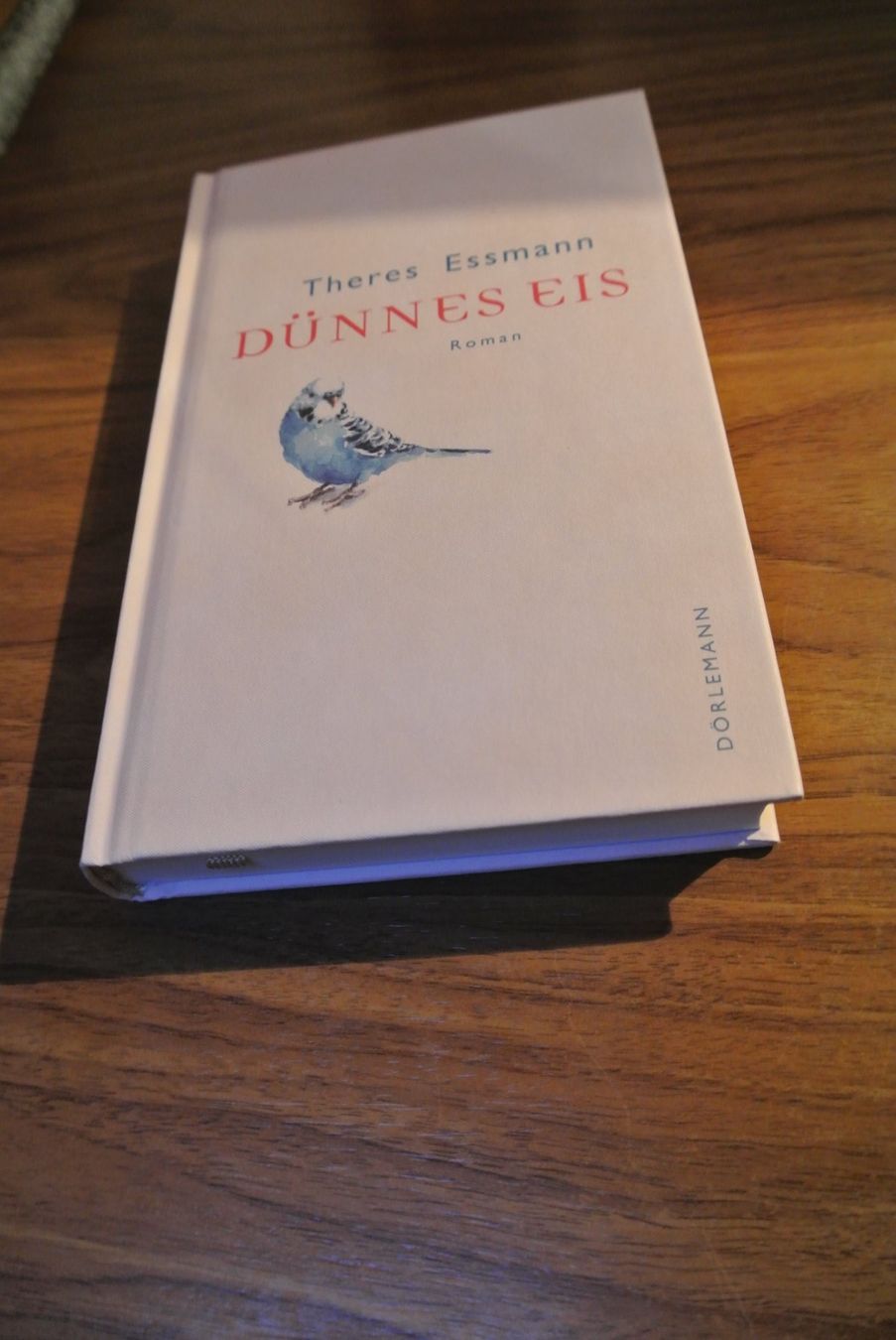 Libri: Dünnes Eis – Usato da Rüschlikon venduto da Plk1