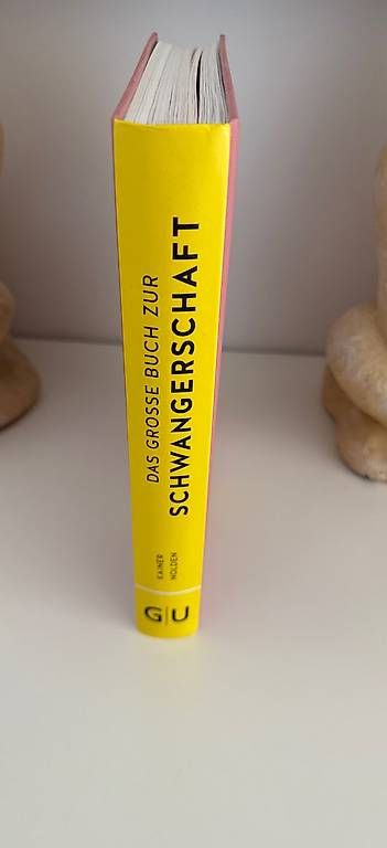 Libri: Das grosse Buch zur Schwangerschaft – Usato da Uster venduto da car_ln89 1