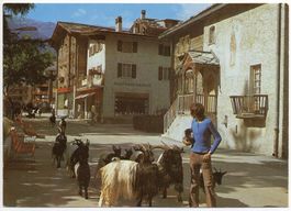 ZERMATT Dorfstrasse - Kaufhaus Kronig - Hirte mit Ziegen