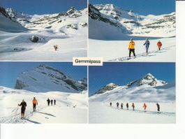 Gemmipass 1989