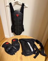 Dainese Protektorenset Rucksack Handschuhe Gurtentasche gut
