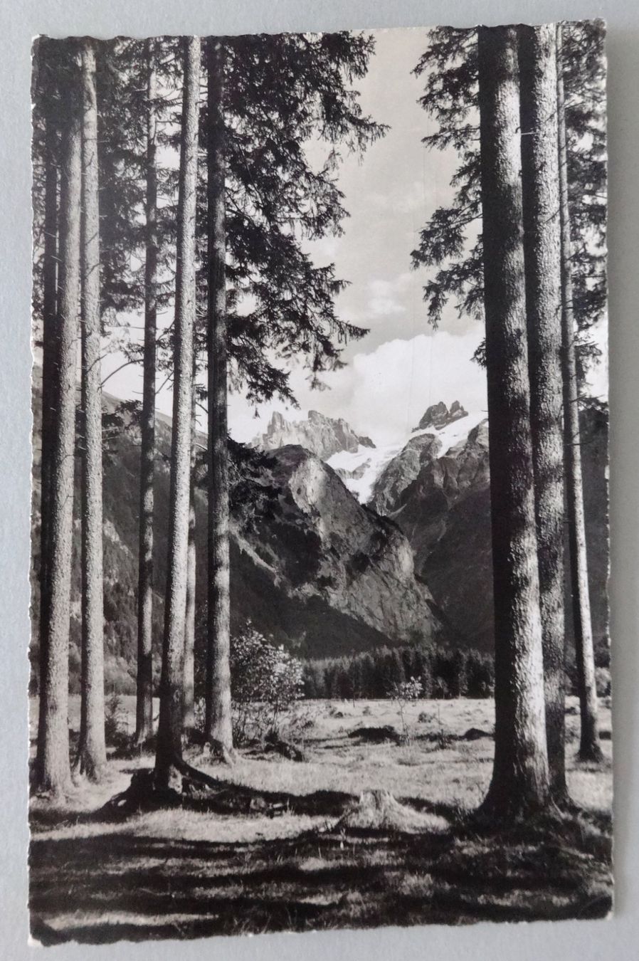 Cartes postales: Waldpartie bei Engelberg – Défectueux à Fétigny par Billy2miny