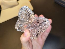 🦋Schmetterling Schattule/Dose aus Glas