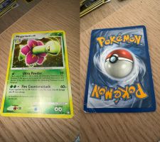 Meganium 13/123 holo