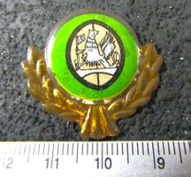 VAUXHALL AUTO LOGO UR-ALT ANSTECKNADEL VINTAGE OLDTIMER