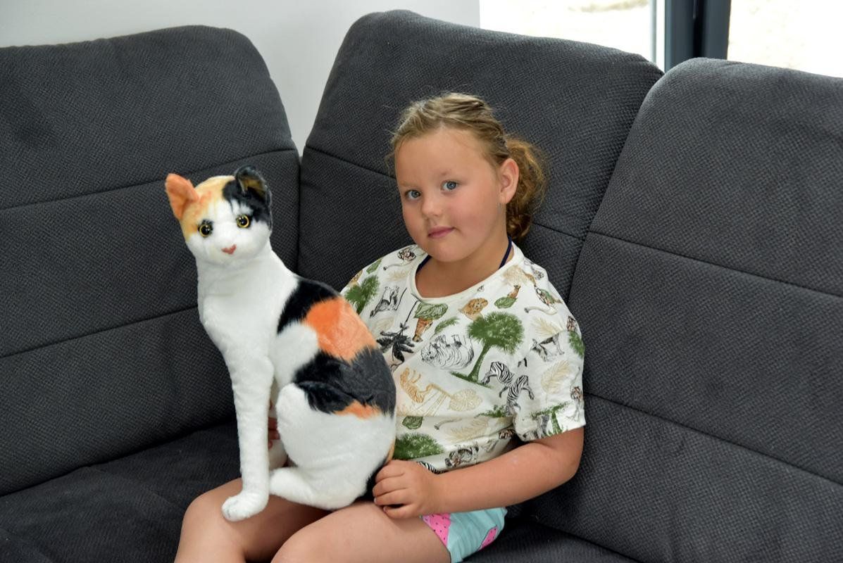 Giocattoli: Plüsch  Katze – Nuovo (secondo la descrizione) da Castagnola venduto da Cat-WomenX 1