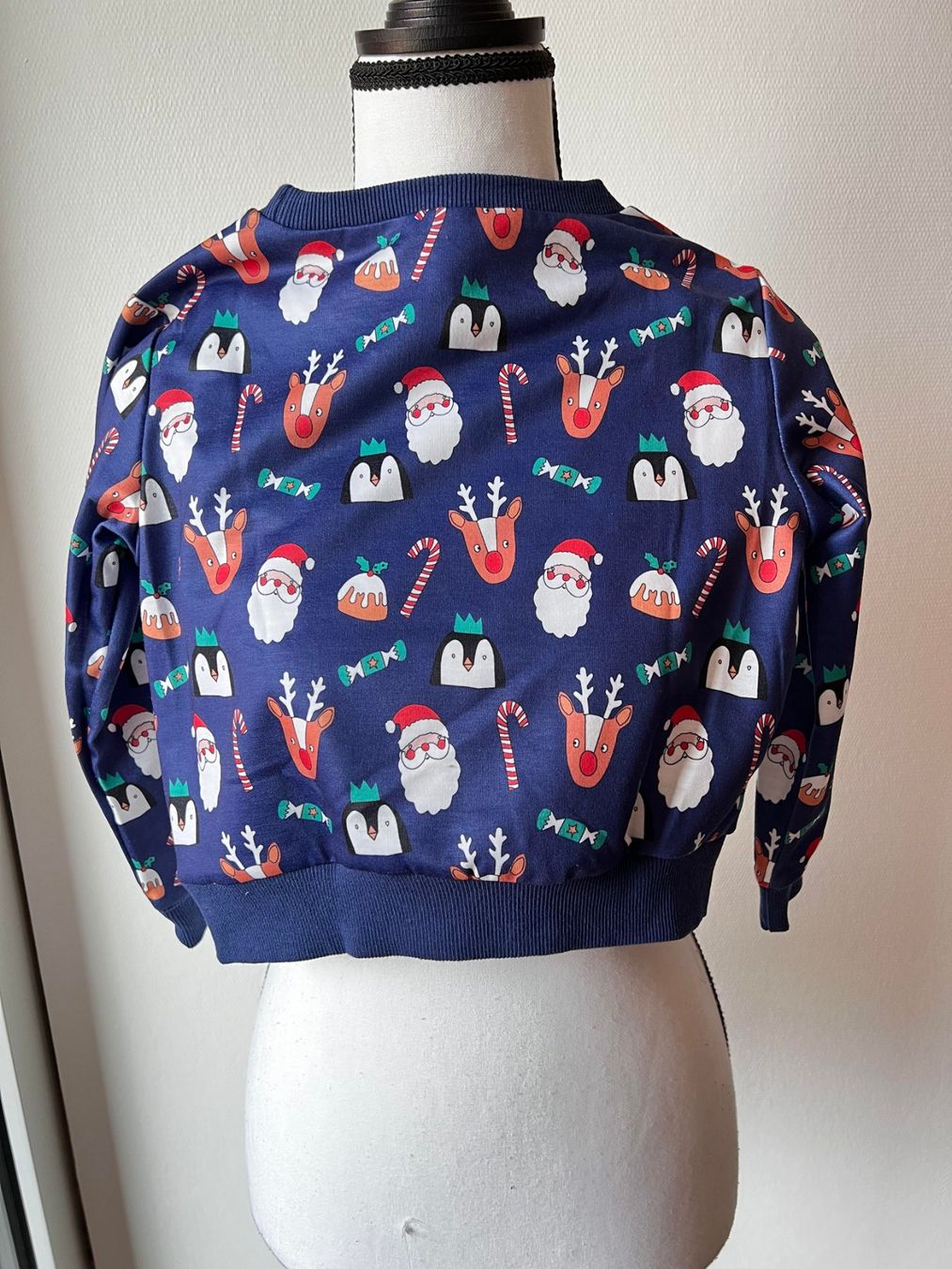 Pulls et sweat-shirts: Neue Pulli für Kinder 5-6 Jahren – Neuf avec emballage d'origine à Riehen par edu_92w7 1