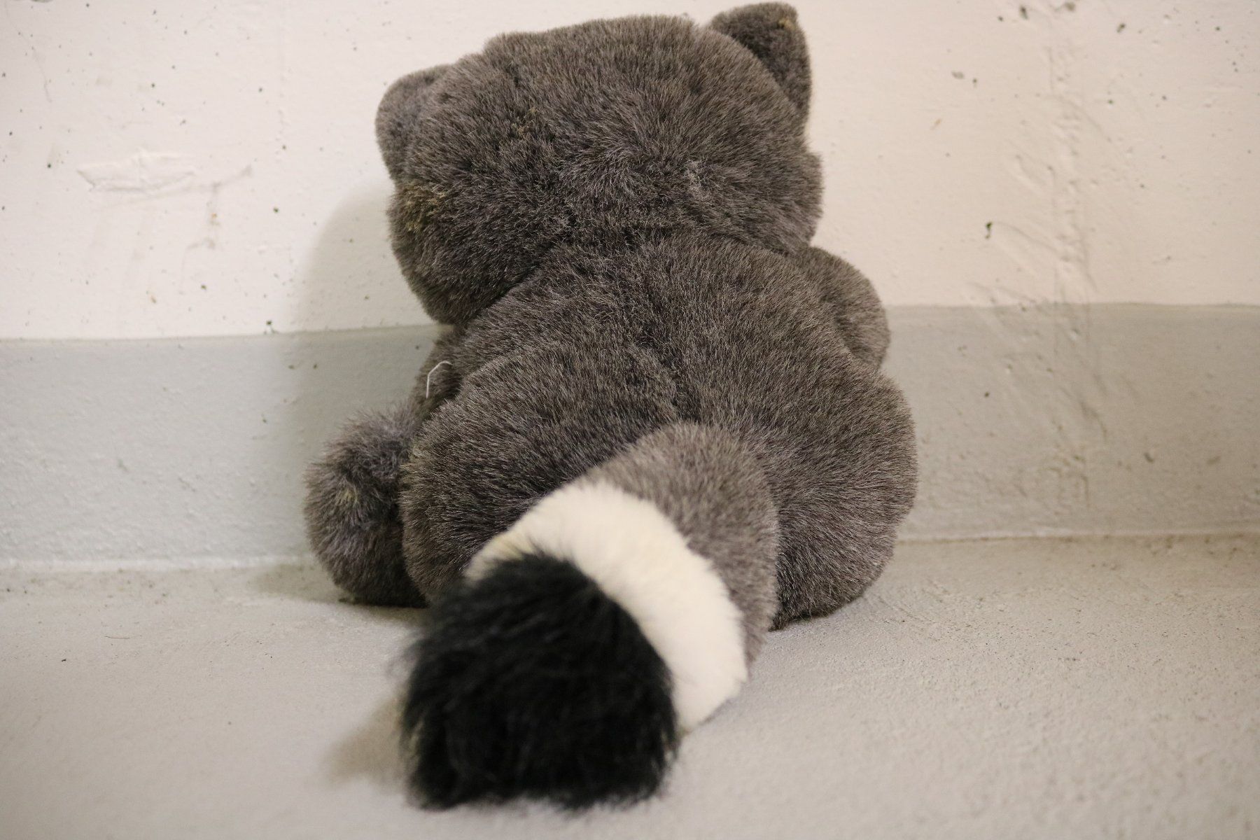 Giocattoli: Waschbär Plüschtier Kuscheltier Stofftier – Nuovo (secondo la descrizione) da Rickenbach b. Wil venduto da Byby7 2