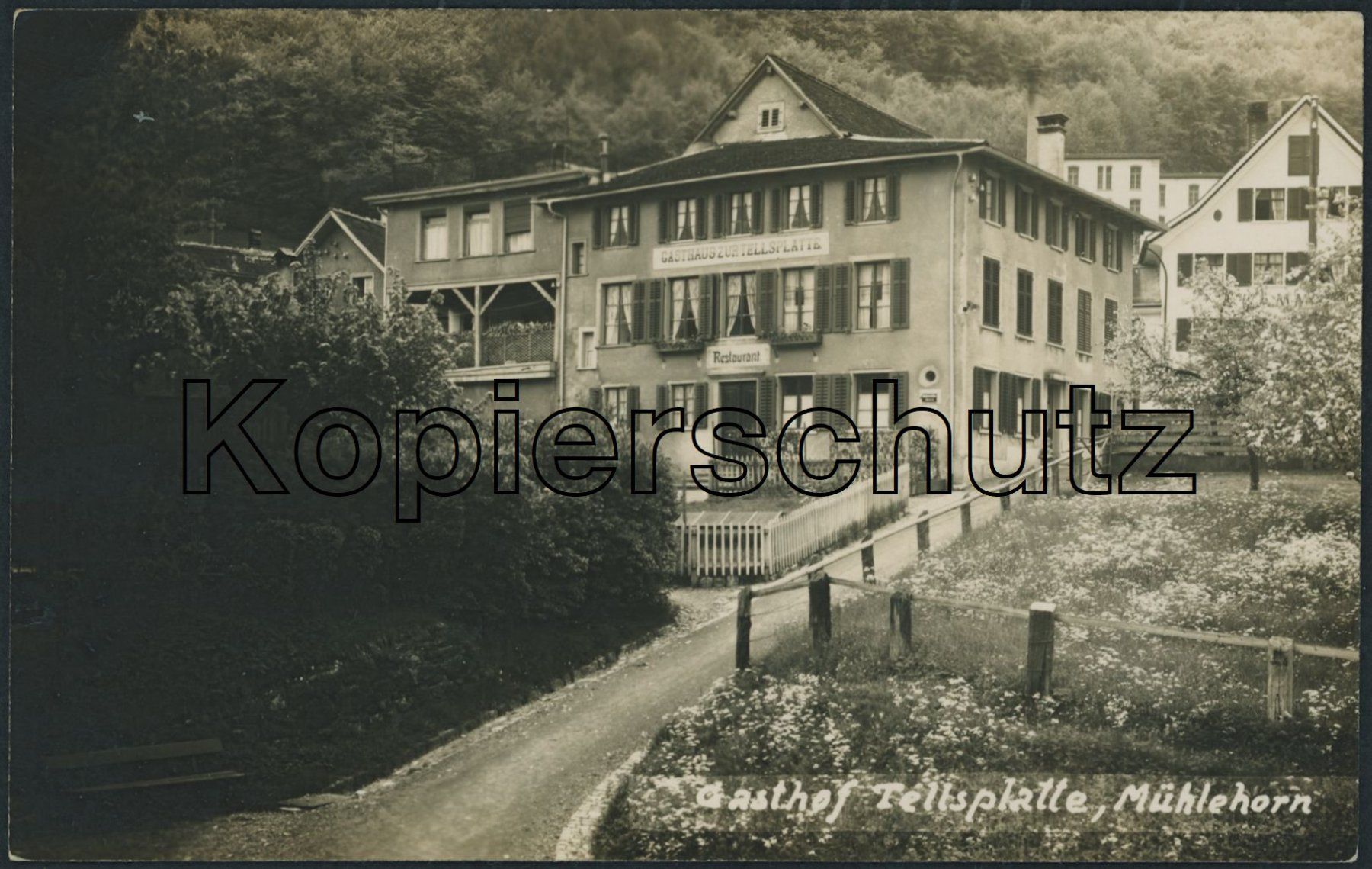 Cartes postales: GL Mühlehorn – Neuf (Voir description) à Schindellegi par dormay