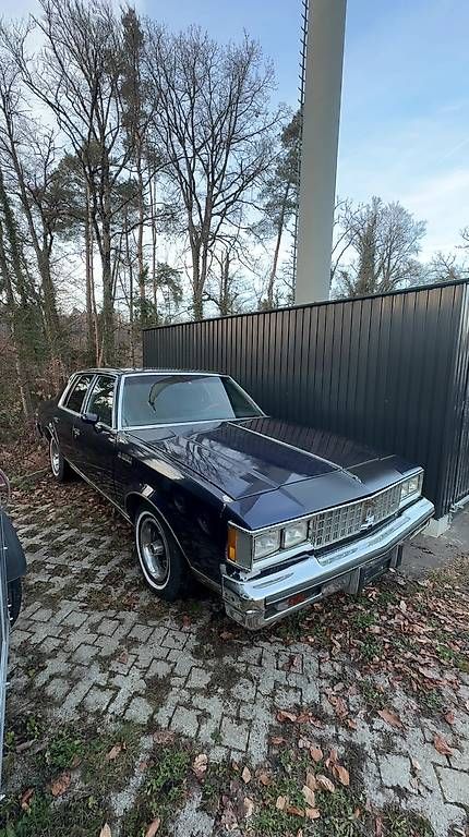 Oldsmobile Autos: Oldsmobile Cutlass 1981 V8 – Gebraucht aus Hinwil von WeRcVerkauf