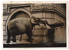 Fotografie Berlin, Zoologischer Garten, 