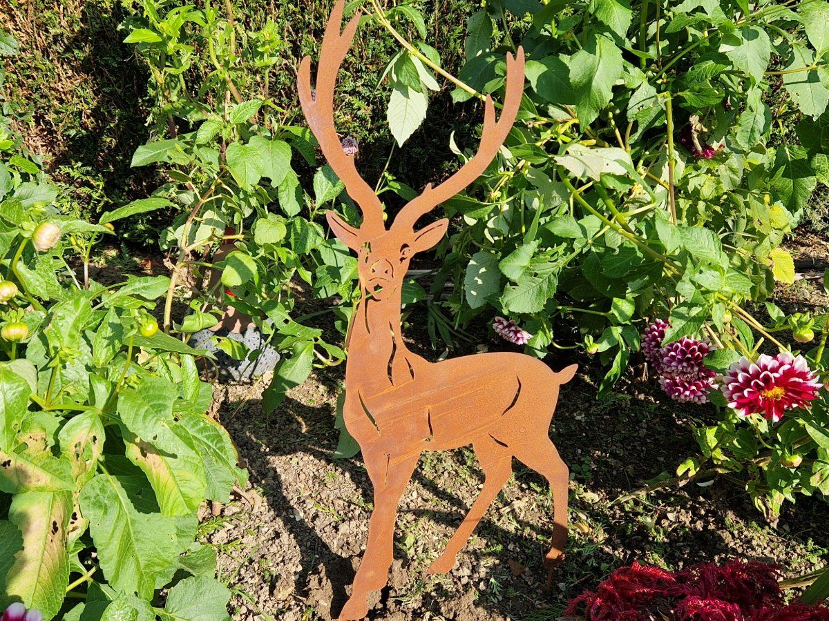 Tutte le decorazioni: Hirsch stehend Rost – Nuovo e nell'imballaggio originale da Matzendorf venduto da Gartendeko-Shop