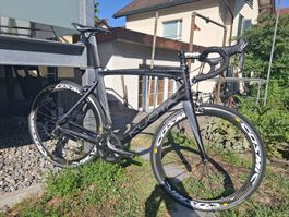 Kuota Kuraro