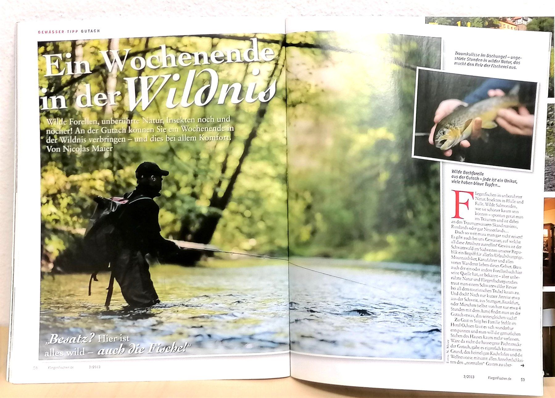 Riviste & Magazine: FliegenFischen – Nr. 3/2013 – Usato da Reinach BL venduto da fliegenrolli 9