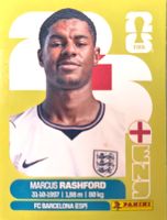 Carte FIFA World Cup 2026 ENG 19