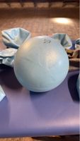 Gymnastikball hellblau gebraucht funktionstüchtig