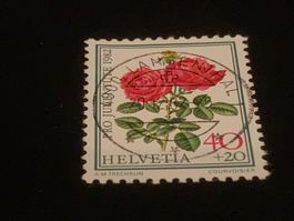 Hugh Dickson PJ J283 - 1982 Vollstempel Langenthal