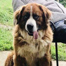 Profile image of MacCel