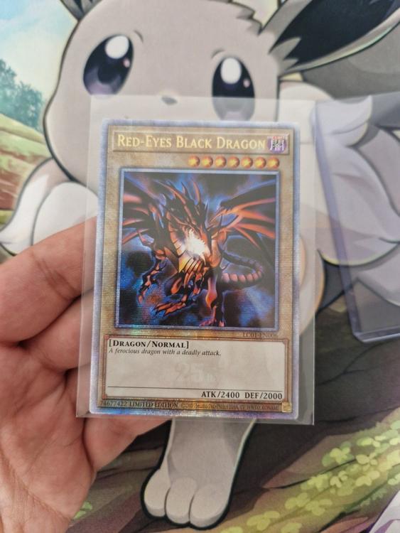 Pokemon Red Eyes Black Dragon 25