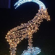 Profile image of Alex03