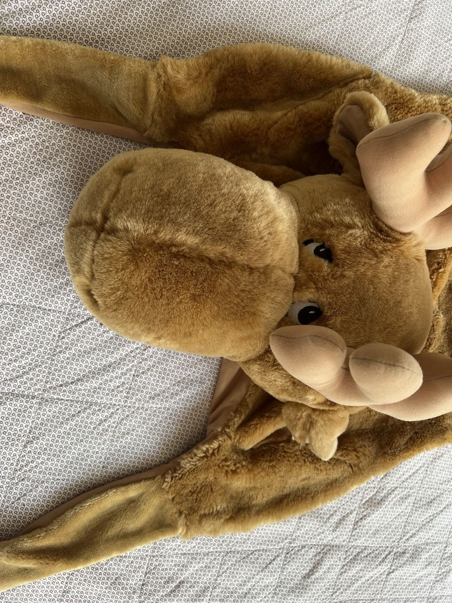Tappeti: Elch Teppich Ikea neuwertig – Usato da Bottighofen venduto da fritz-81 1