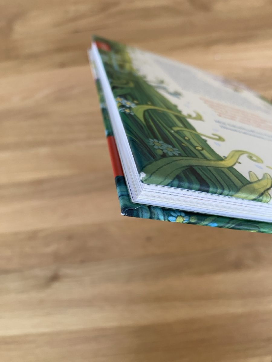 Libri: «Nur ein Tag» von Martin Baltscheit – Nuovo (secondo la descrizione) da Büren an der Aare venduto da marco6 3