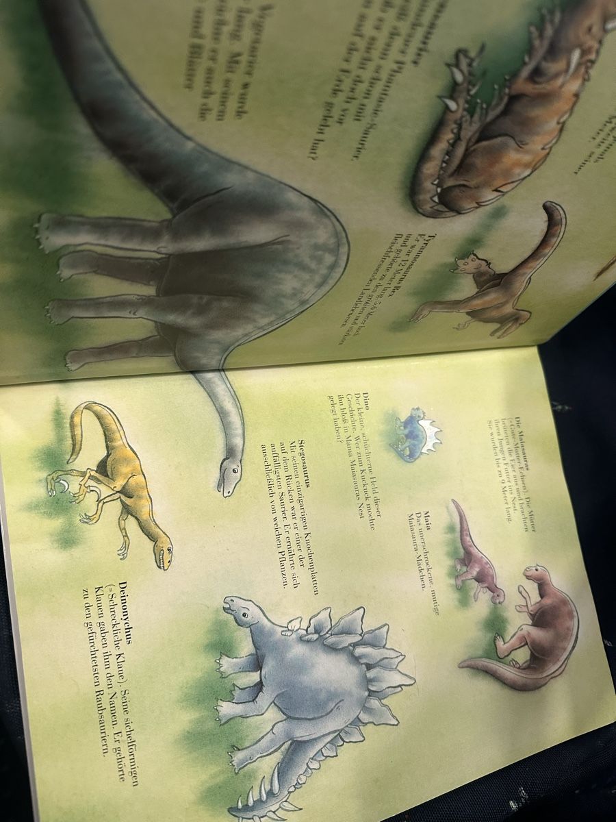 Bücher: Der kleine Dino Marcus Pfister – Gebraucht aus Uster von bek_v2ct 1