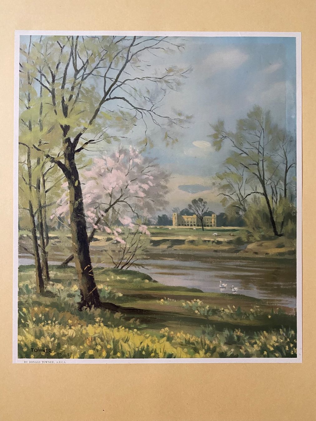 Foto & Immagini: Original Vintage Poster - Britain in Spring – Usato da Zürich venduto da jesulin05