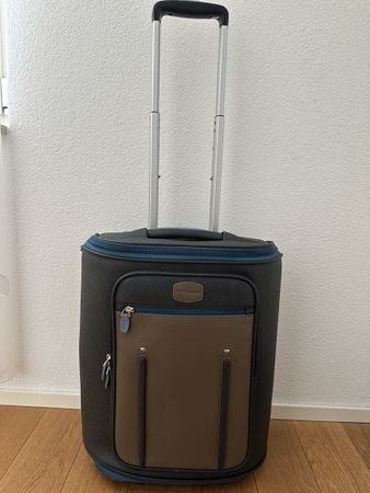 Fedon luggage carry on