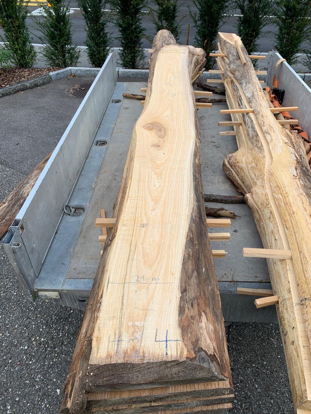 Articoli in legno: Ulmen Bretter – Nuovo (secondo la descrizione) da Lotzwil venduto da gia_bn2w 8