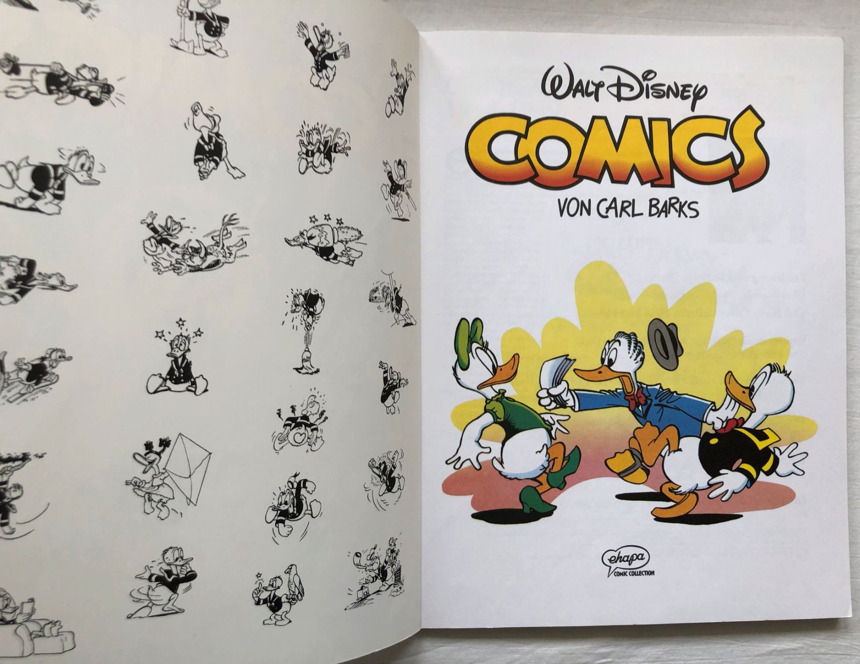 Comics: Barks Library Special - Donald Duck - Band 16 – Gebraucht aus Schaffhausen von durruti 1