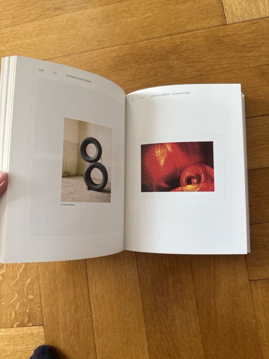 Libri: Fischli Weiss: Fleurs & Questions - Retrospektive – Usato da Zürich venduto da sasast 2