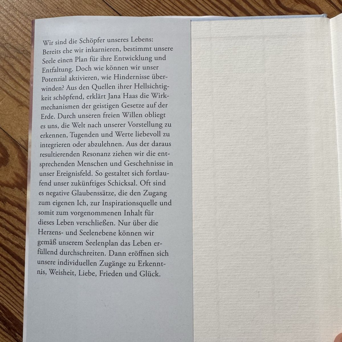 Libri: Buch der Seelenplan - Jana Haas – Usato da Binningen venduto da lebol0319 2