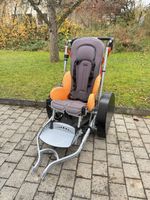 Veloanhänger für Kinder in top Zustand