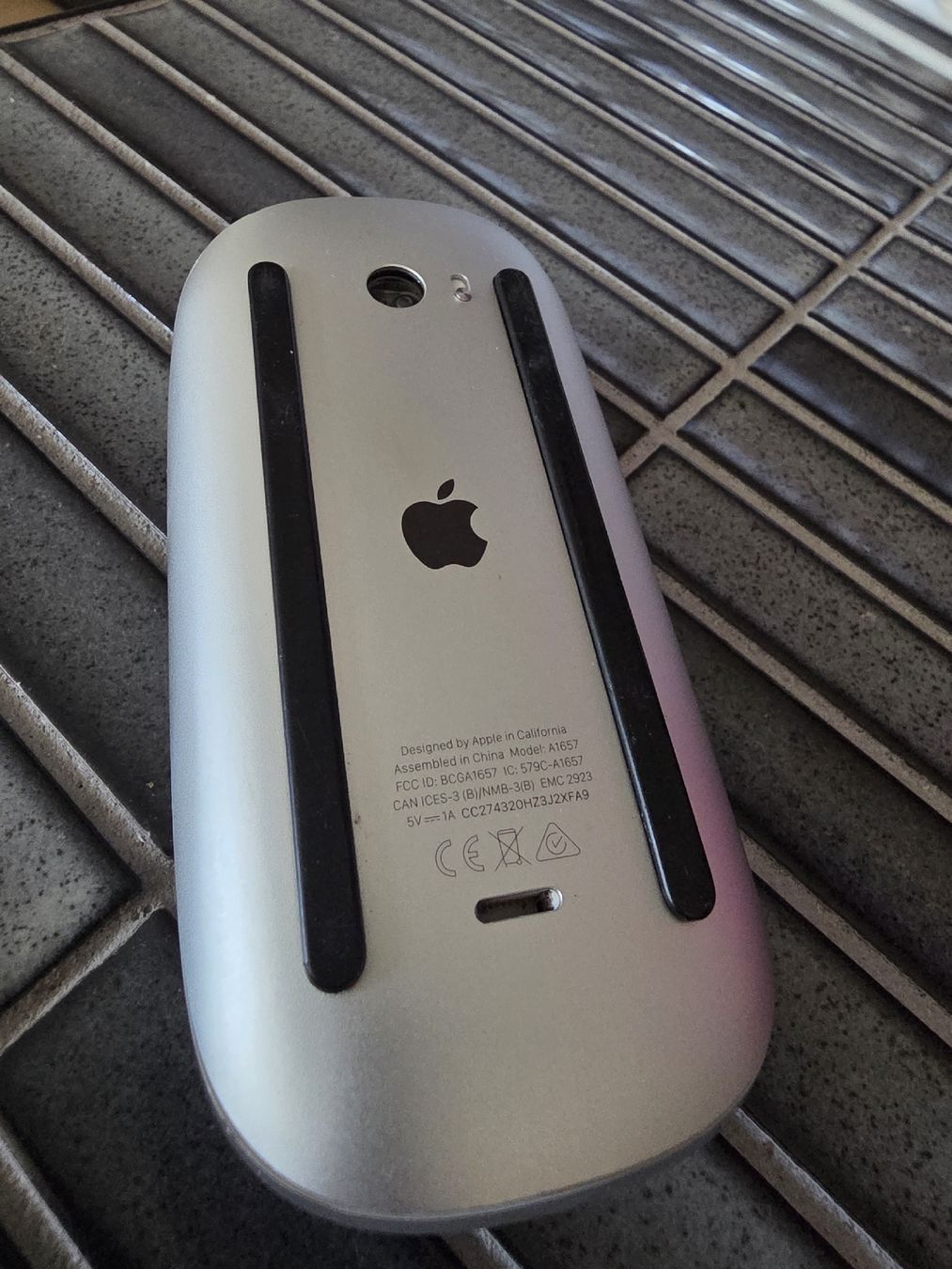 Apple Mouse: Apple Magic Mouse gen 2 – Usato da Biberist venduto da Volo28 2
