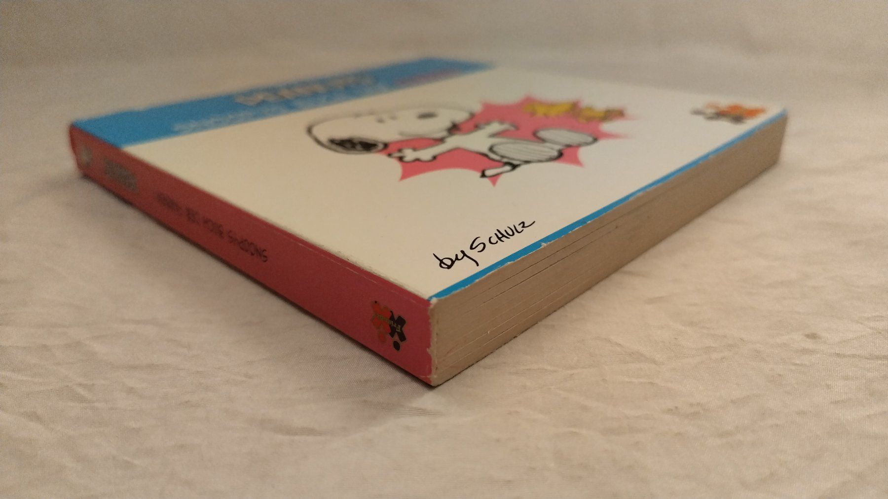 Libri: Peanuts / Snoopy - Buch der Farben / Bilderbuch kartoniert – Usato da Bellach venduto da JingleJerry 1